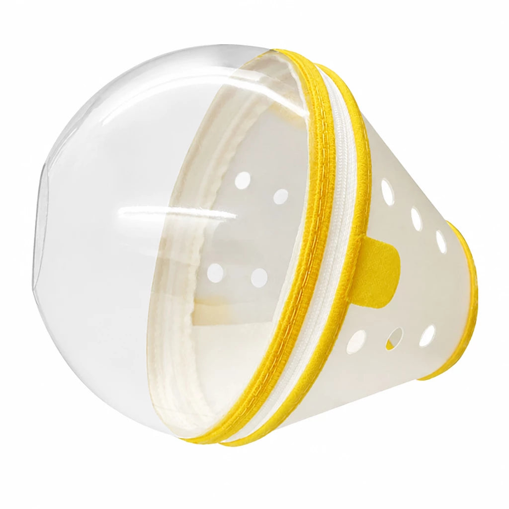 Plastic Recovery Cone for Small Dogs