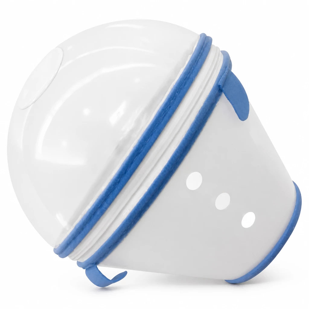 Plastic Recovery Cone for Small Dogs