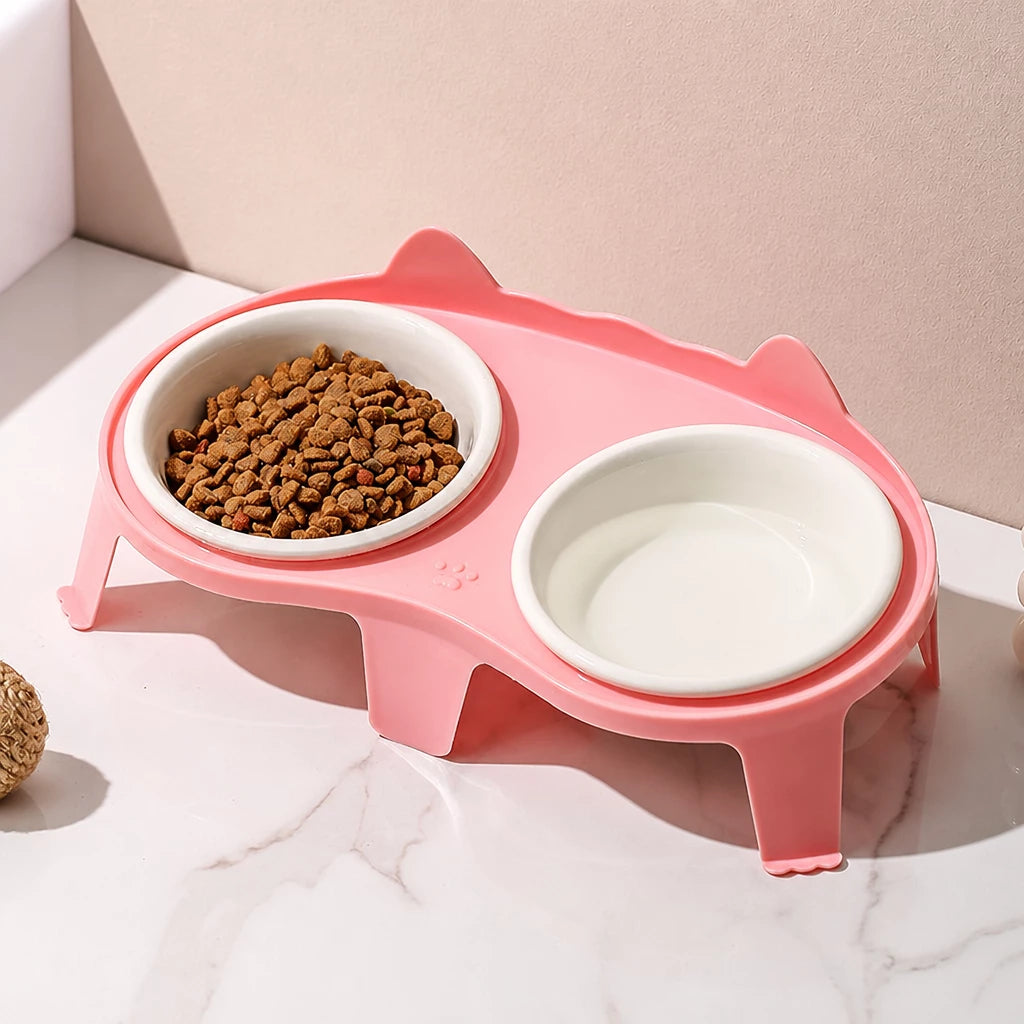 Elevated Ceramic Double Bowl Set for Cats