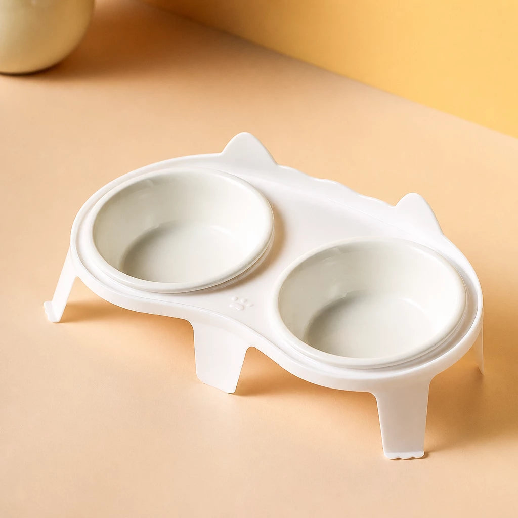 Elevated Ceramic Double Bowl Set for Cats