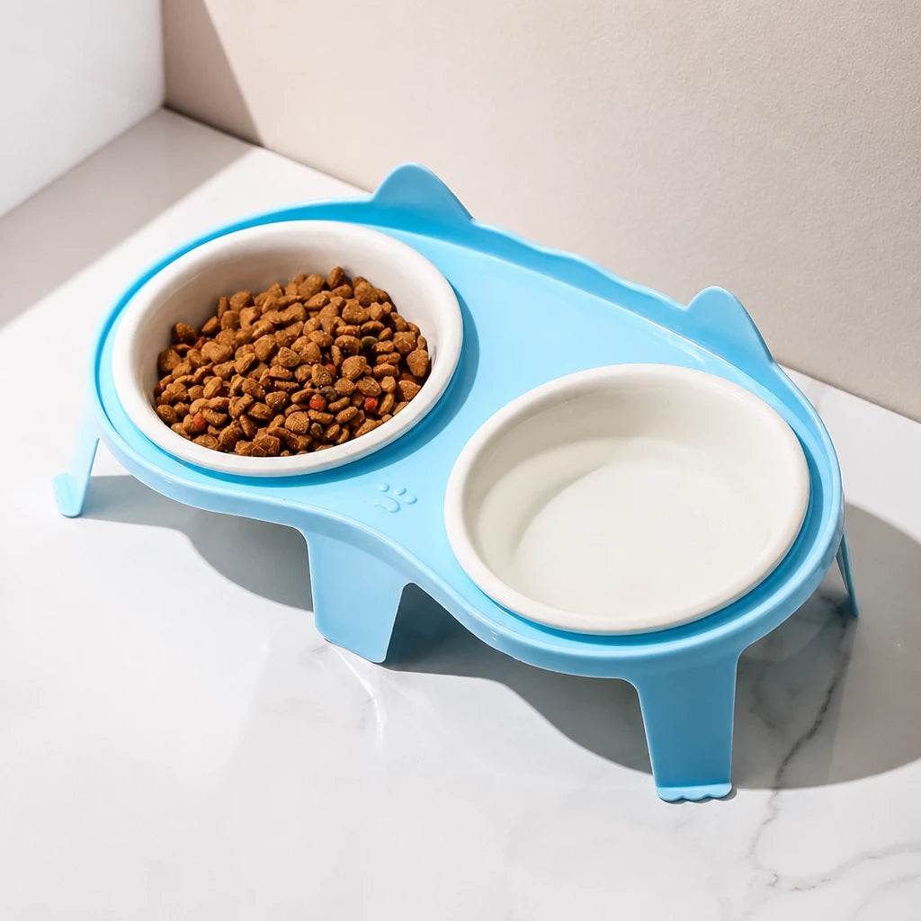 Elevated Ceramic Double Bowl Set for Cats