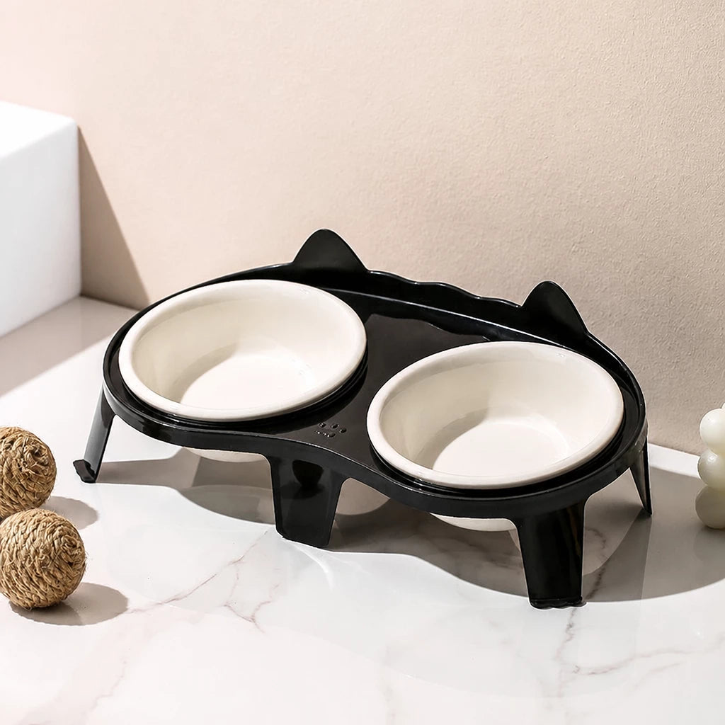 Elevated Ceramic Double Bowl Set for Cats