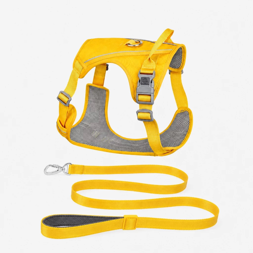 Nylon Dog Harness and Leash Set