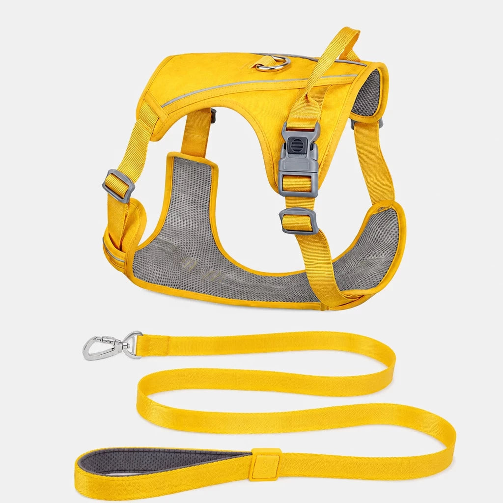Nylon Dog Harness and Leash Set