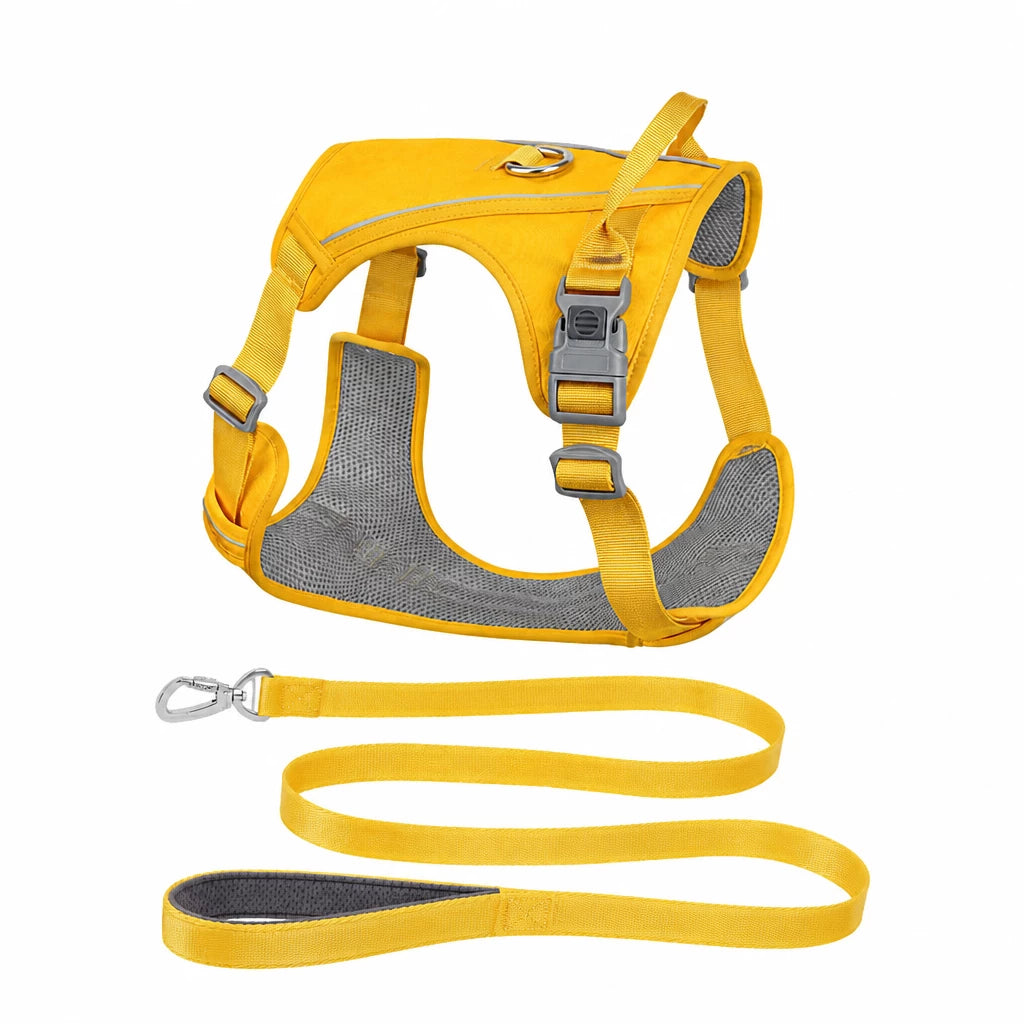 Nylon Dog Harness and Leash Set