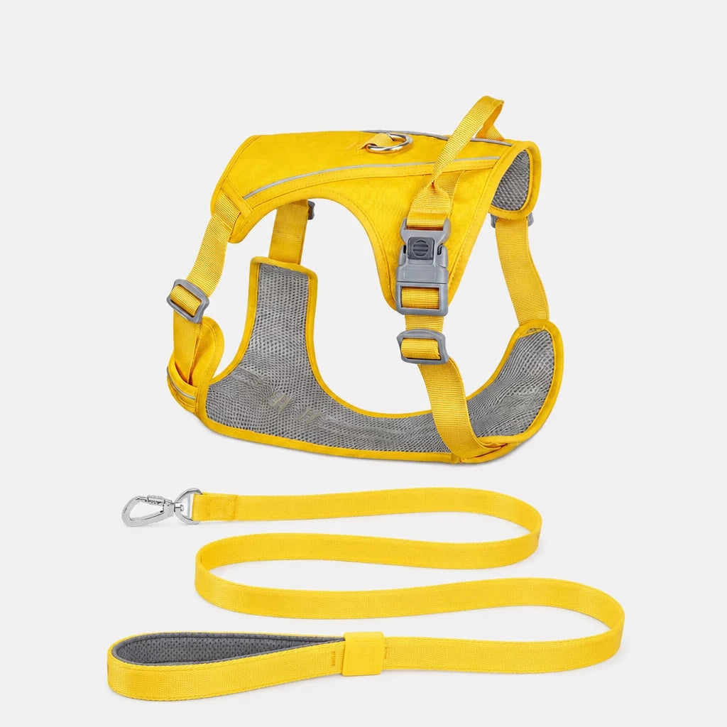 Nylon Dog Harness and Leash Set