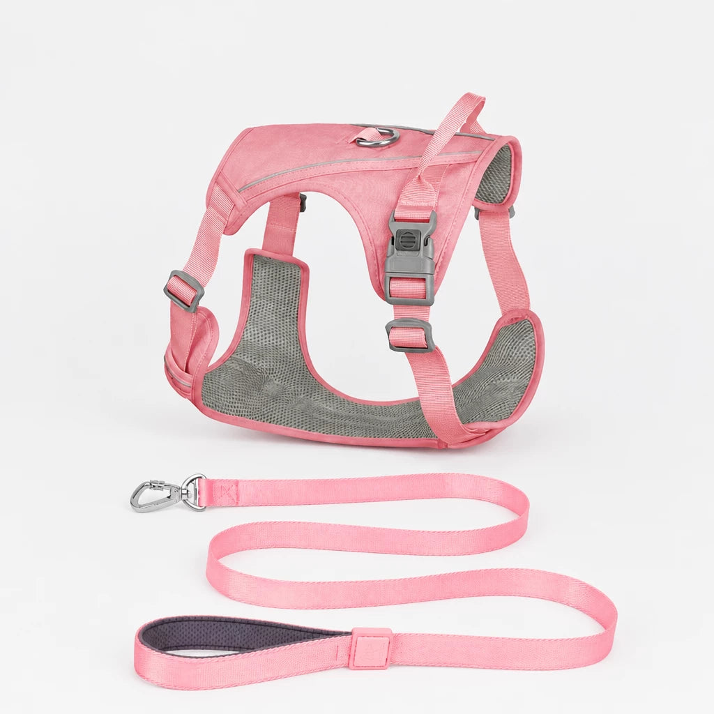 Nylon Dog Harness and Leash Set