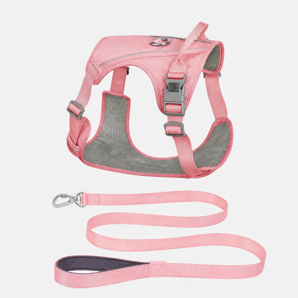 Nylon Dog Harness and Leash Set