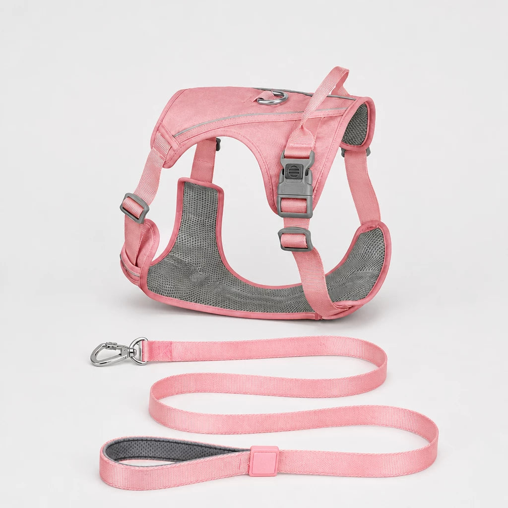 Nylon Dog Harness and Leash Set