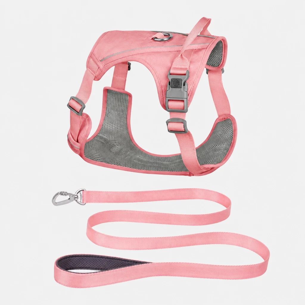 Nylon Dog Harness and Leash Set