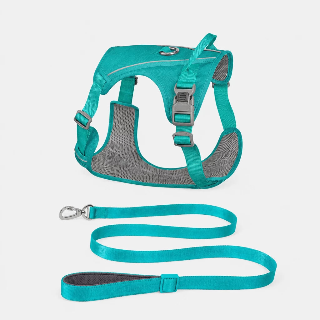 Nylon Dog Harness and Leash Set