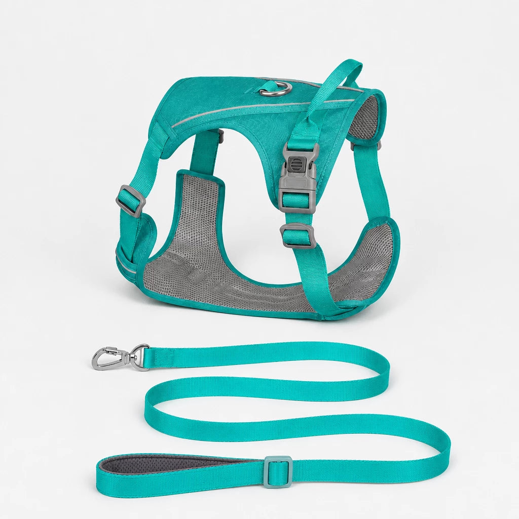 Nylon Dog Harness and Leash Set