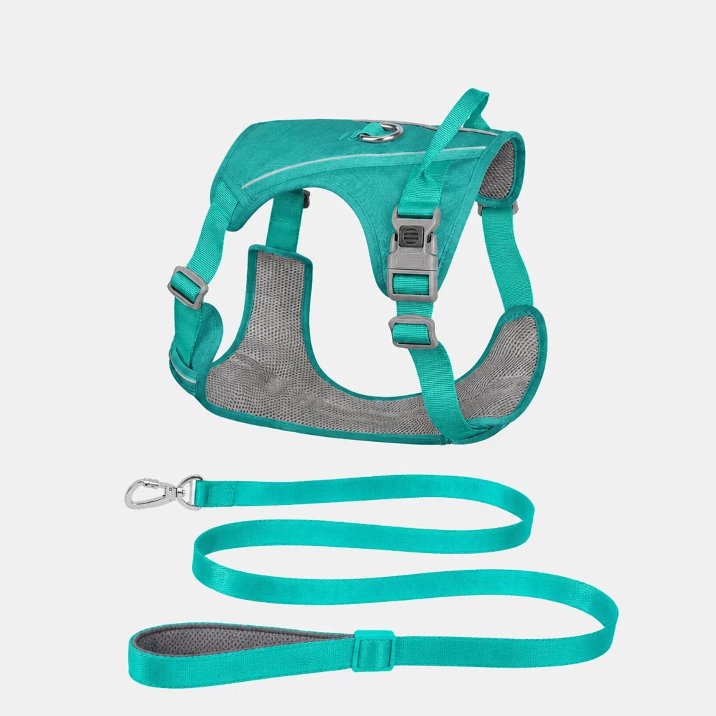 Nylon Dog Harness and Leash Set