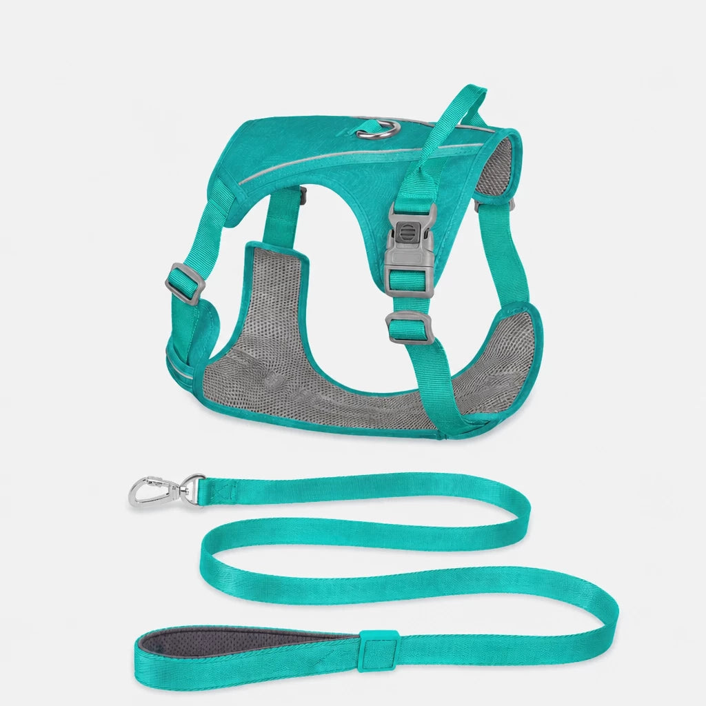 Nylon Dog Harness and Leash Set