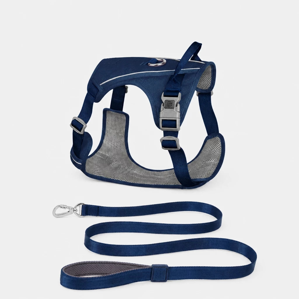 Nylon Dog Harness and Leash Set
