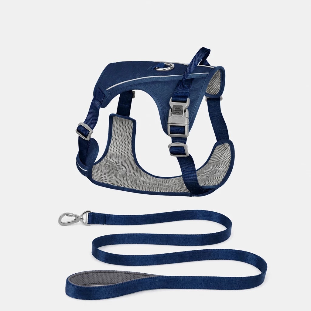 Nylon Dog Harness and Leash Set