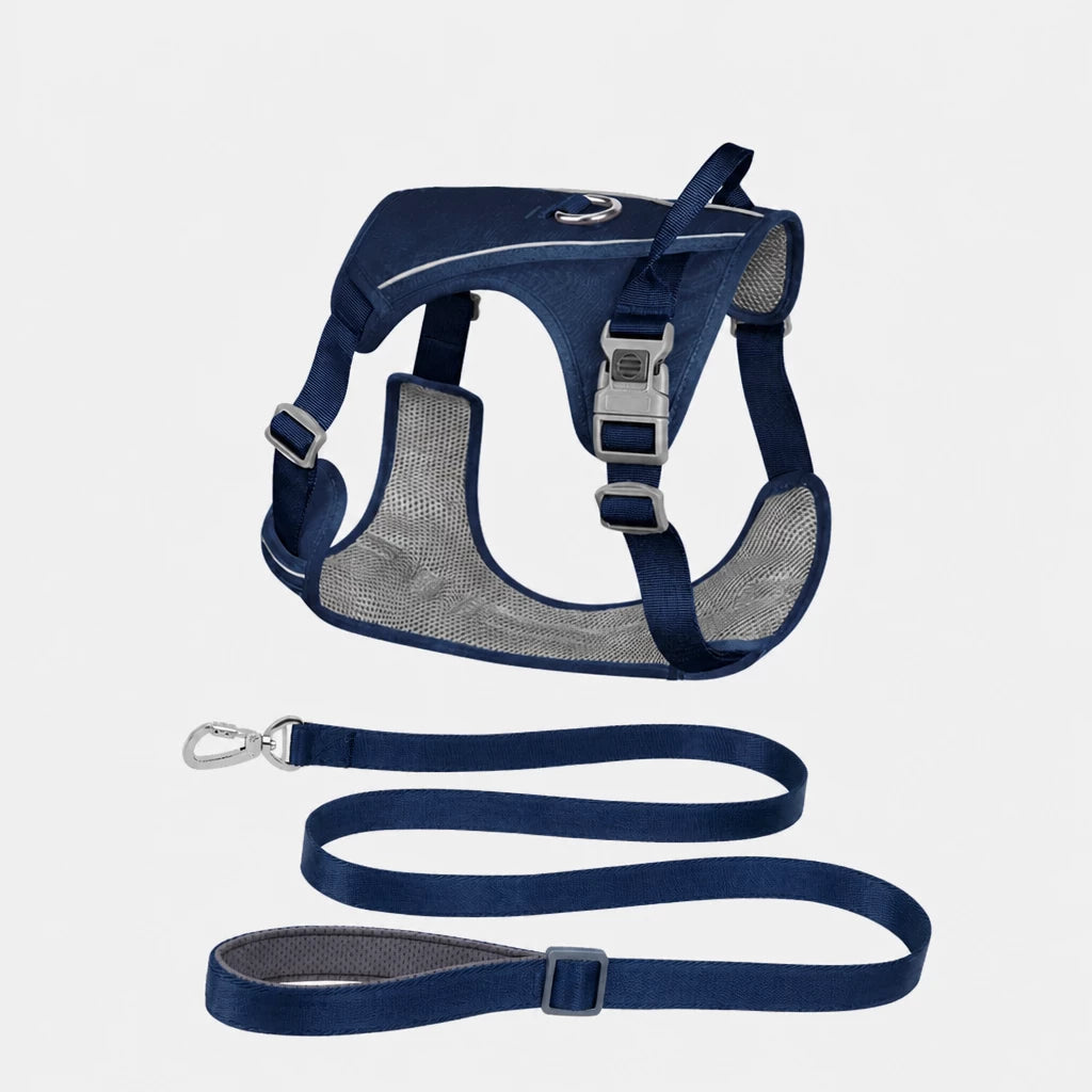 Nylon Dog Harness and Leash Set