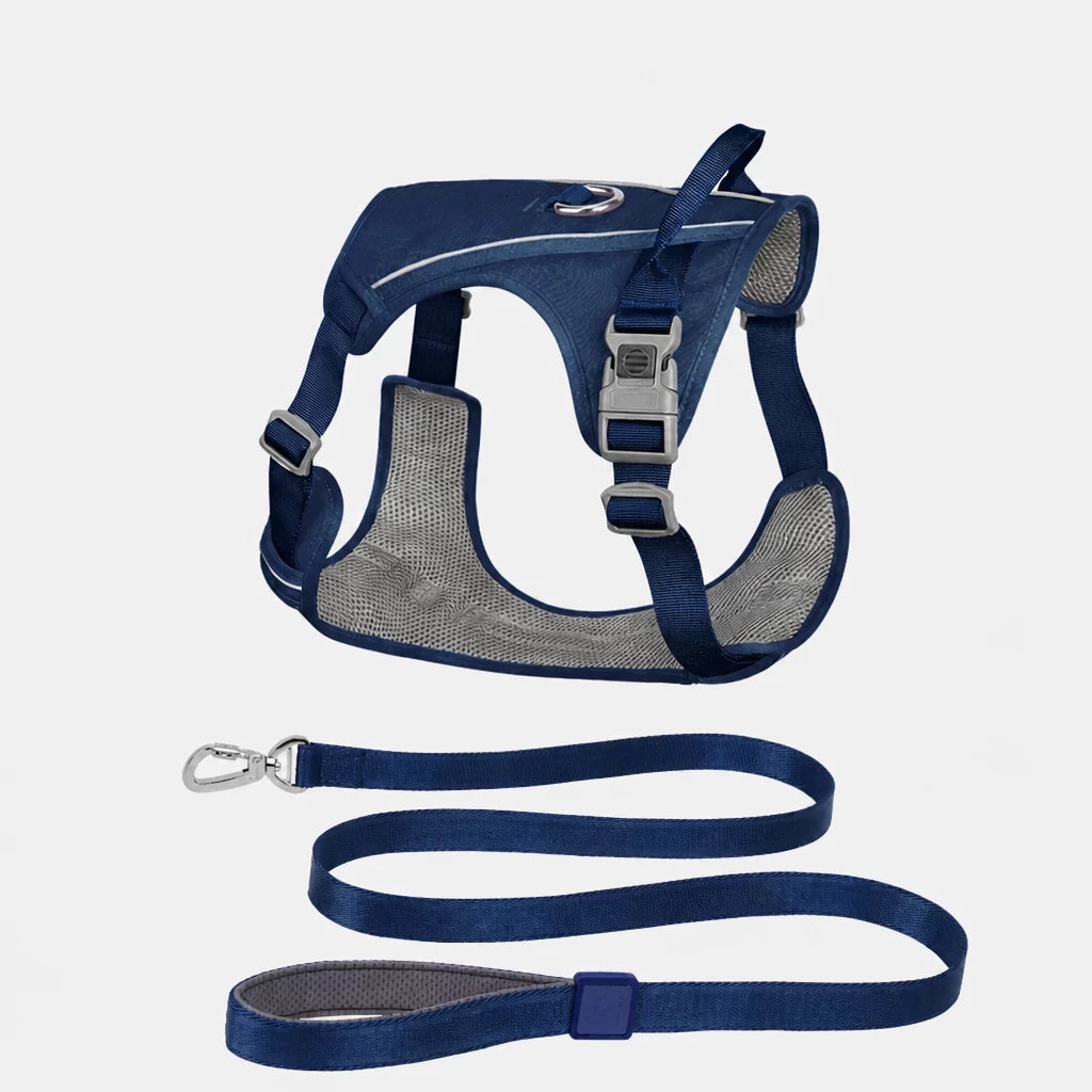 Nylon Dog Harness and Leash Set