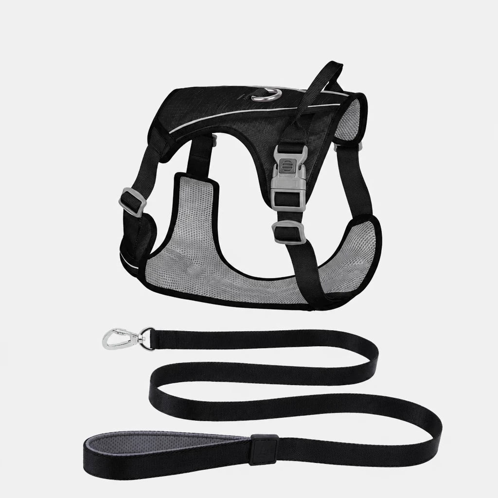 Nylon Dog Harness and Leash Set