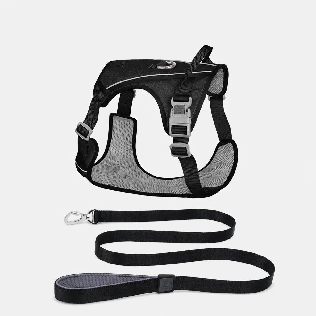 Nylon Dog Harness and Leash Set