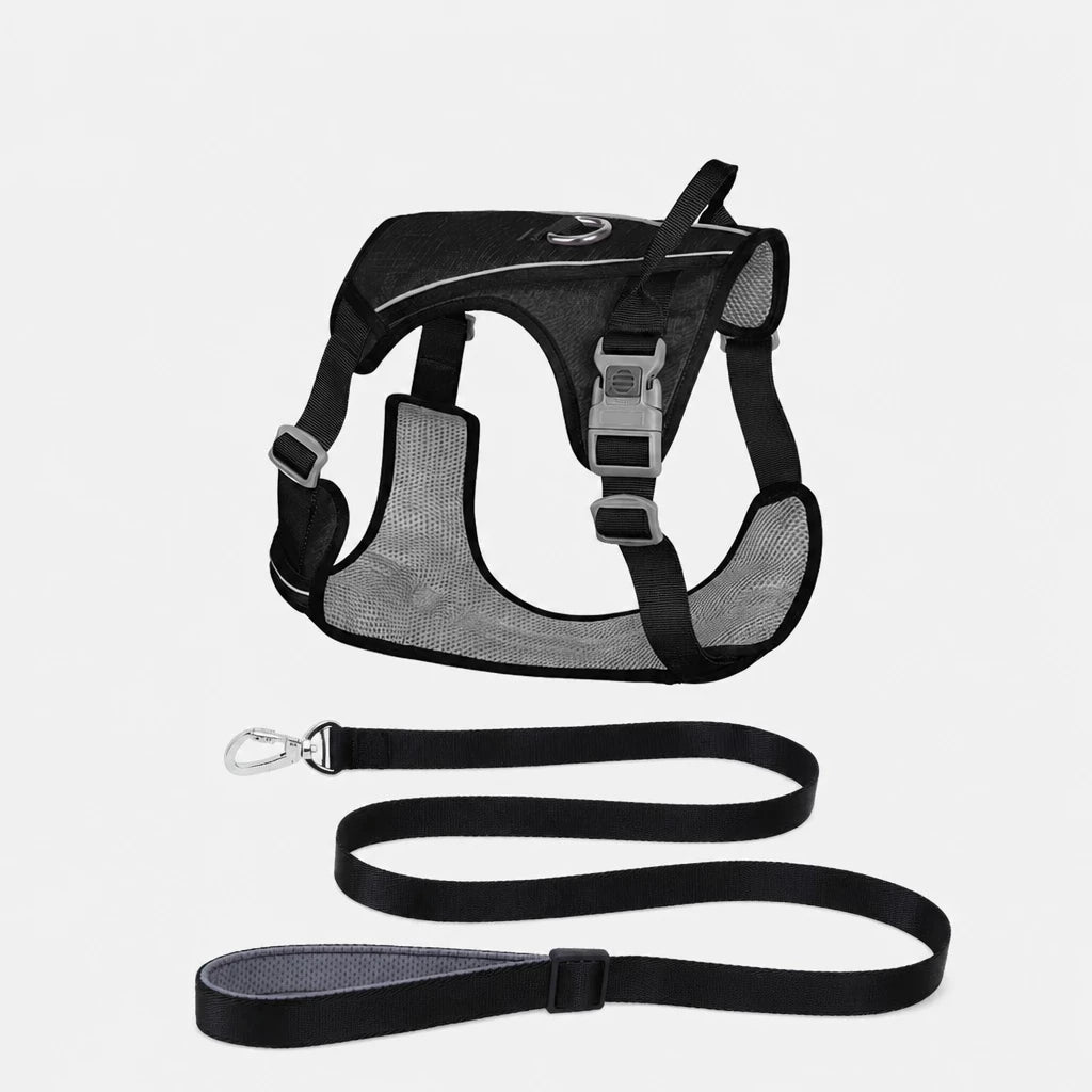 Nylon Dog Harness and Leash Set