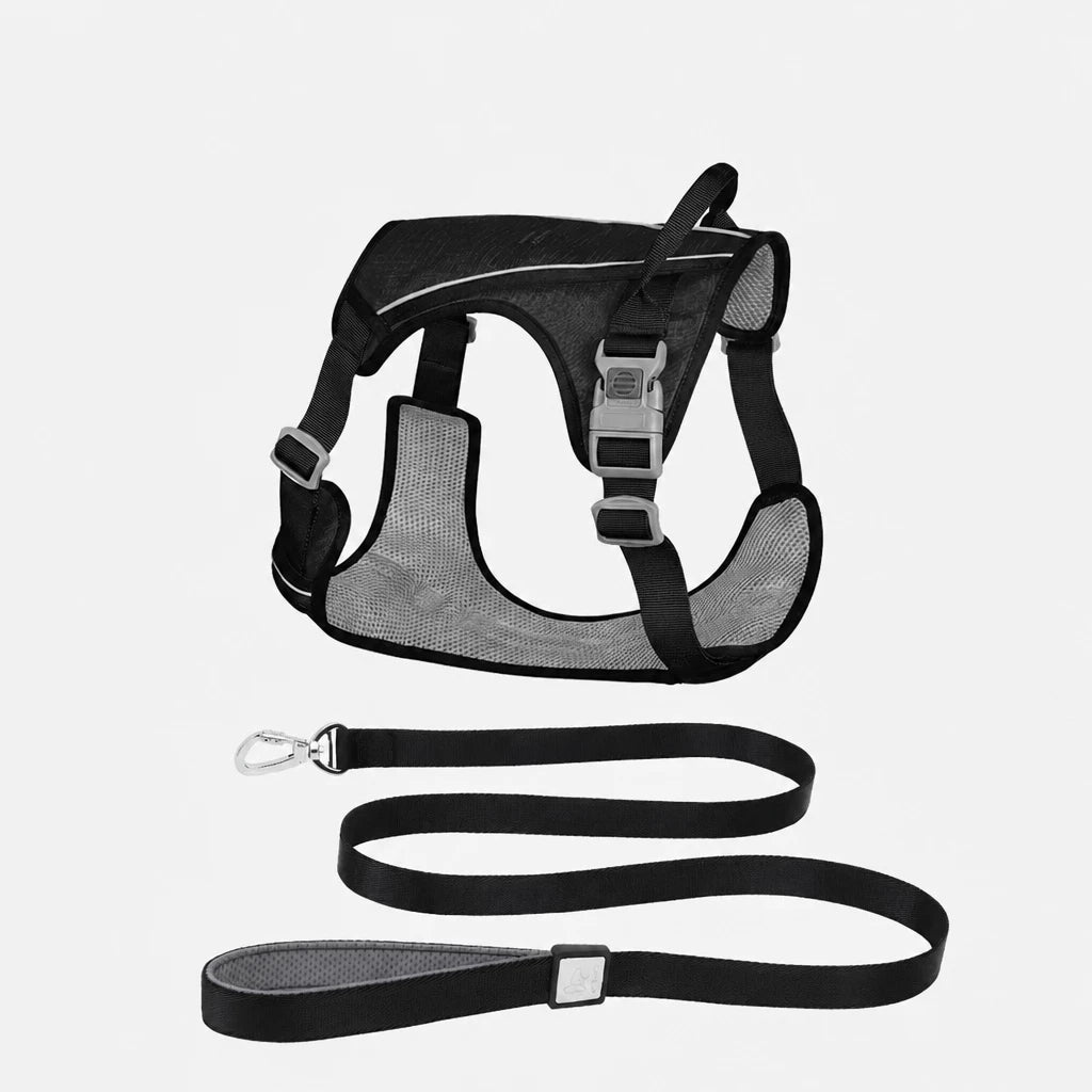 Nylon Dog Harness and Leash Set