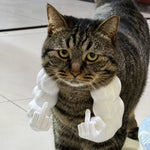 3D-Printed Muscular Arm Pet Neck Accessory