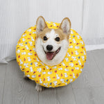 Soft Recovery Cone Collar for Dogs