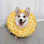 Soft Recovery Cone Collar for Dogs