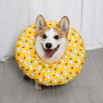 Soft Recovery Cone Collar for Dogs