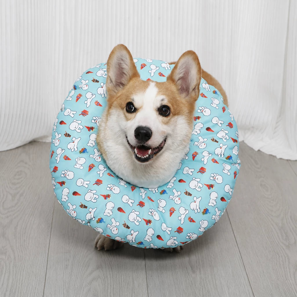 Soft Recovery Cone Collar for Dogs