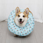 Soft Recovery Cone Collar for Dogs