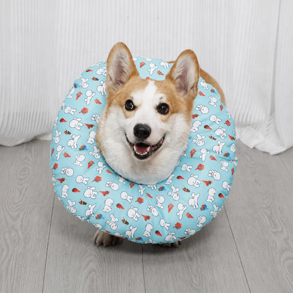 Soft Recovery Cone Collar for Dogs