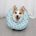 Soft Recovery Cone Collar for Dogs