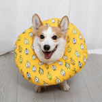 Soft Recovery Cone Collar for Dogs