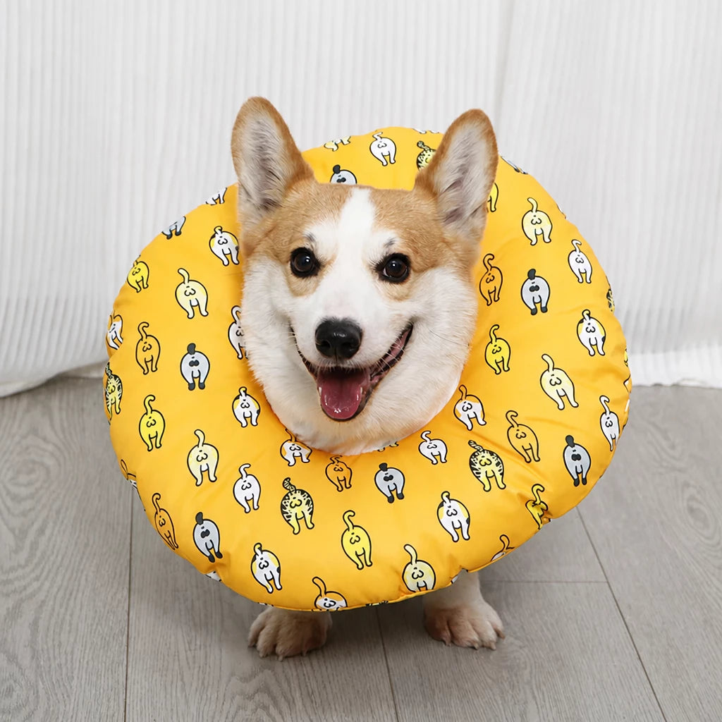 Soft Recovery Cone Collar for Dogs