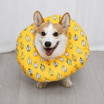Soft Recovery Cone Collar for Dogs
