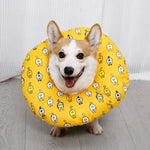 Soft Recovery Cone Collar for Dogs