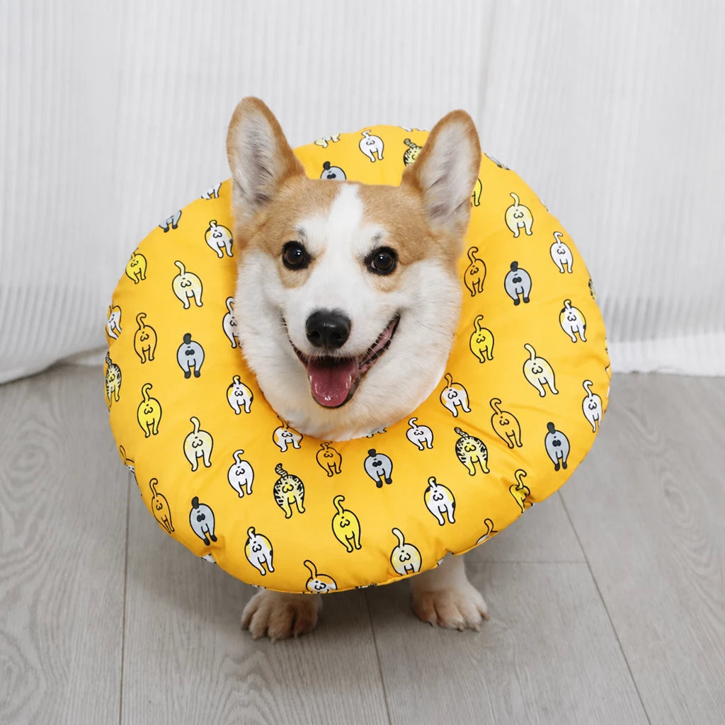 Soft Recovery Cone Collar for Dogs