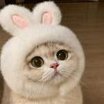 Character Costume Pet Hat for Cats and Dogs