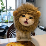 Character Costume Pet Hat for Cats and Dogs