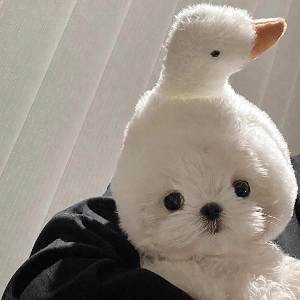 Character Costume Pet Hat for Cats and Dogs