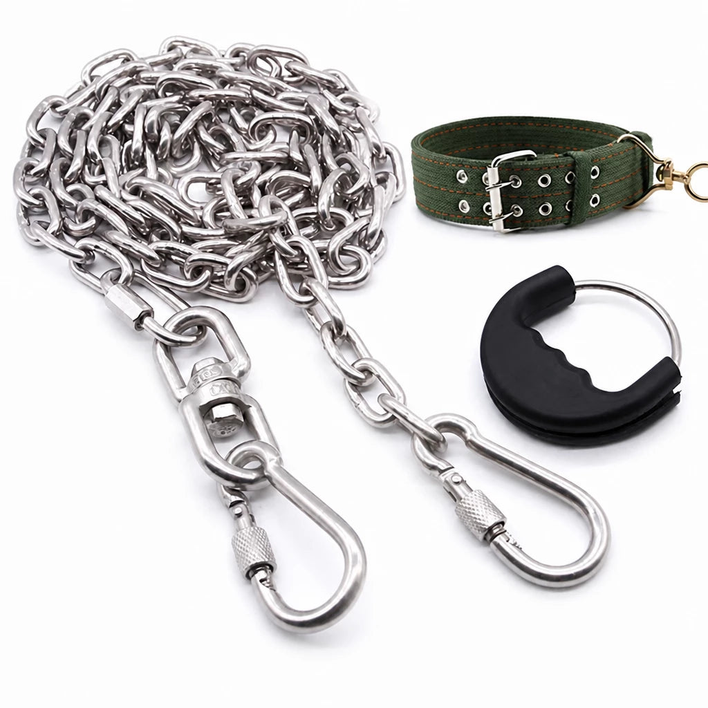 304 Stainless Steel Chain Dog Leash, Collar & Handle Set