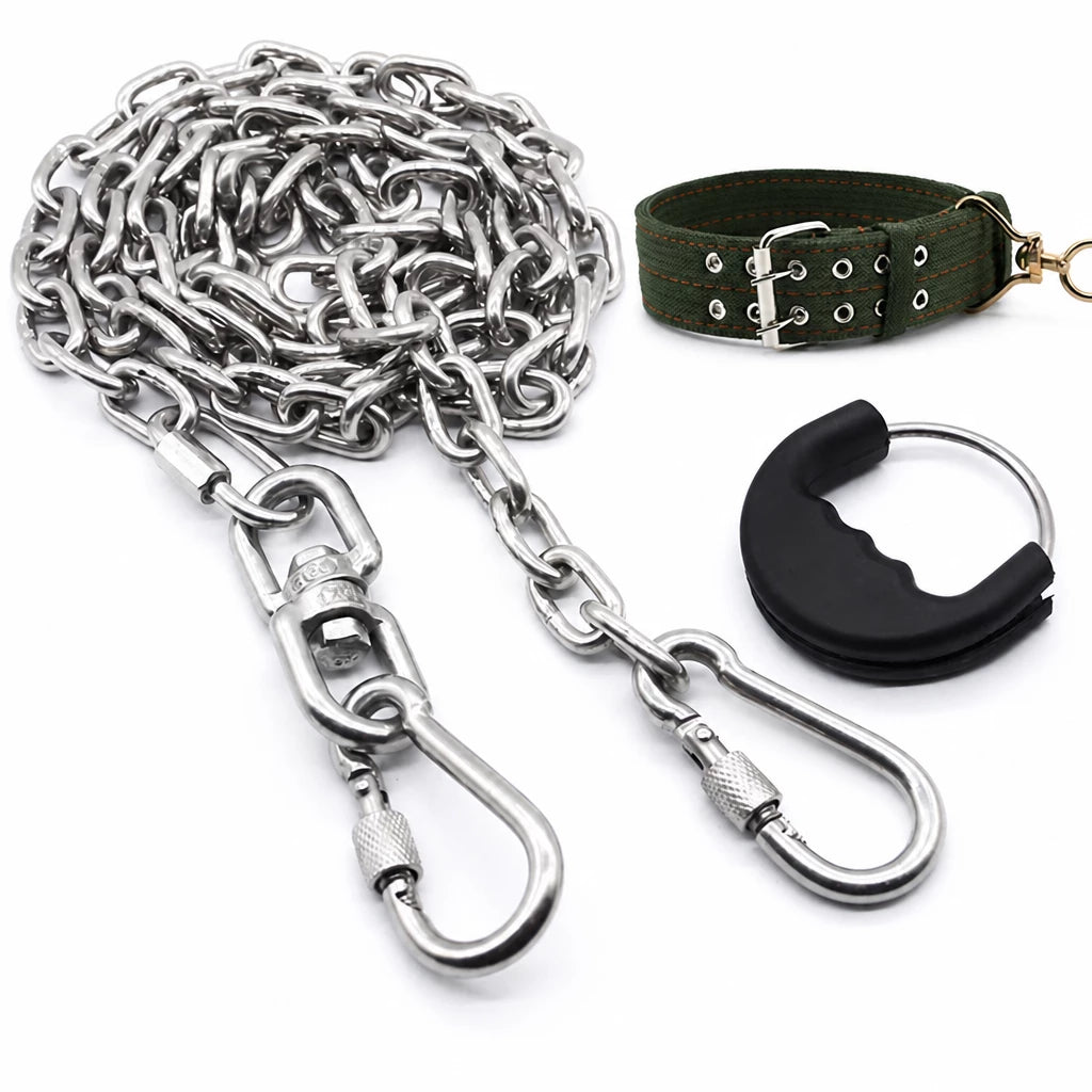 304 Stainless Steel Chain Dog Leash, Collar & Handle Set