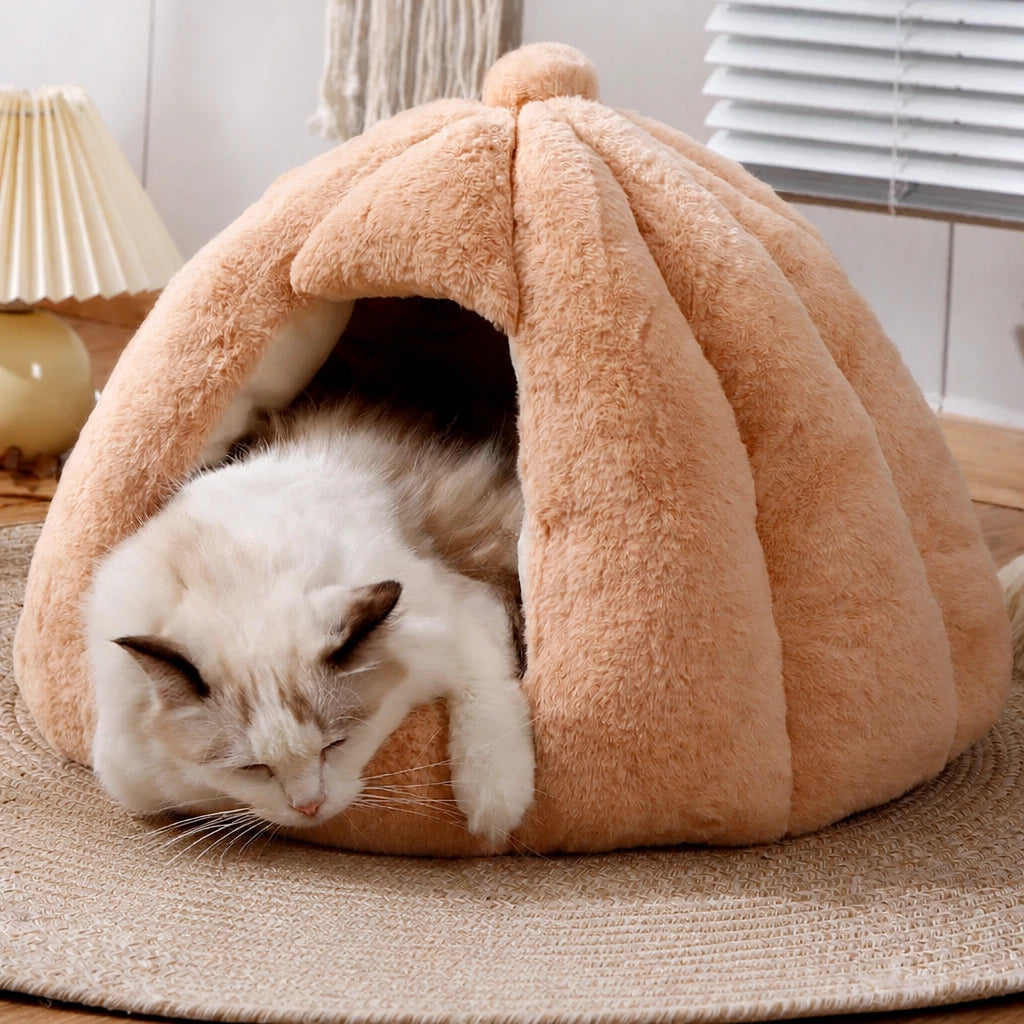Enclosed Cat Bed with Removable, Washable Cover