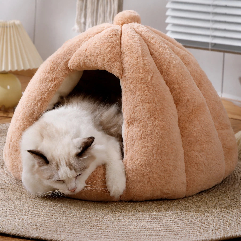Enclosed Cat Bed with Removable, Washable Cover