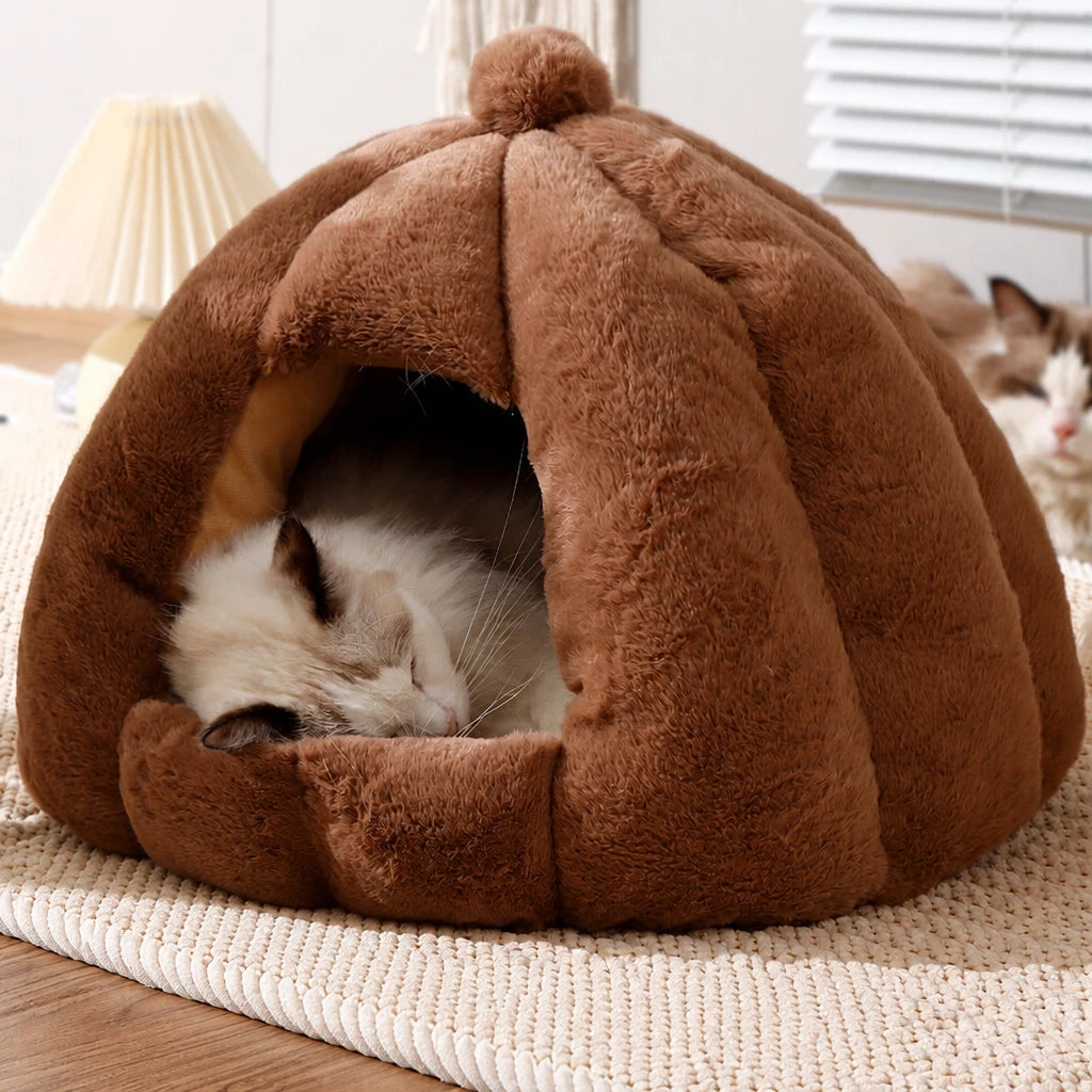 Enclosed Cat Bed with Removable, Washable Cover