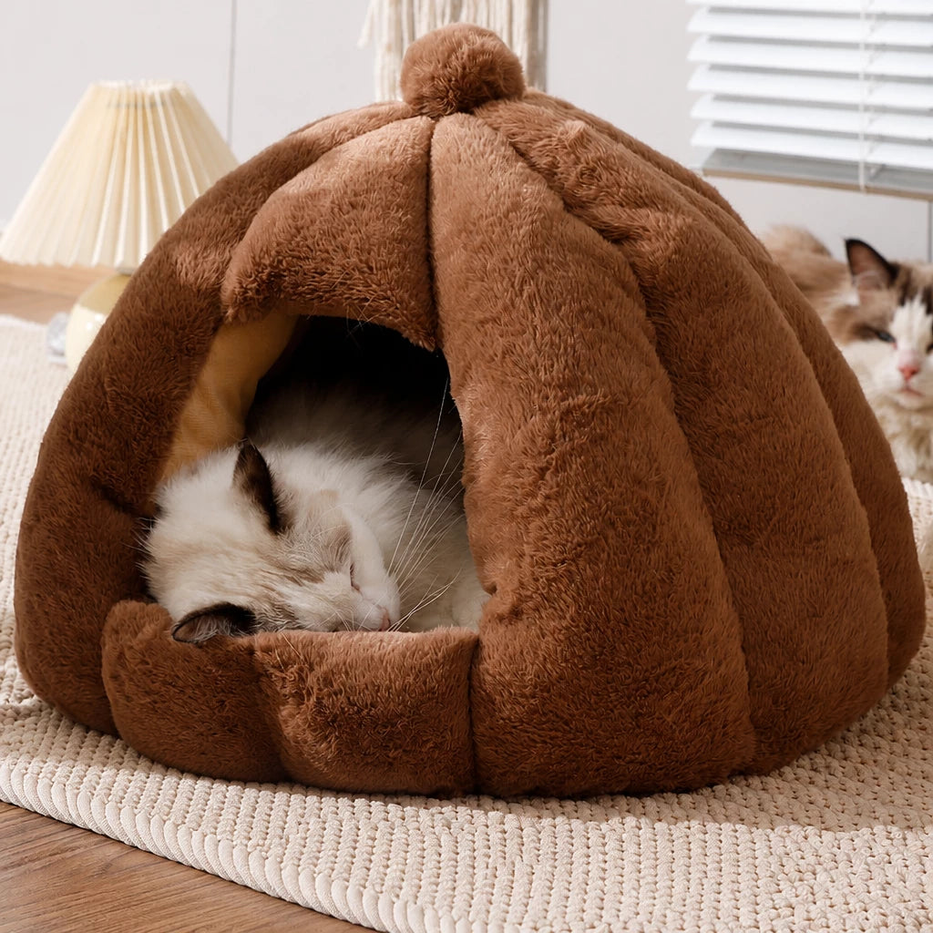 Enclosed Cat Bed with Removable, Washable Cover