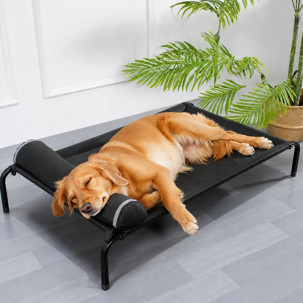 Elevated Dog Cot Bed with Removable Cover