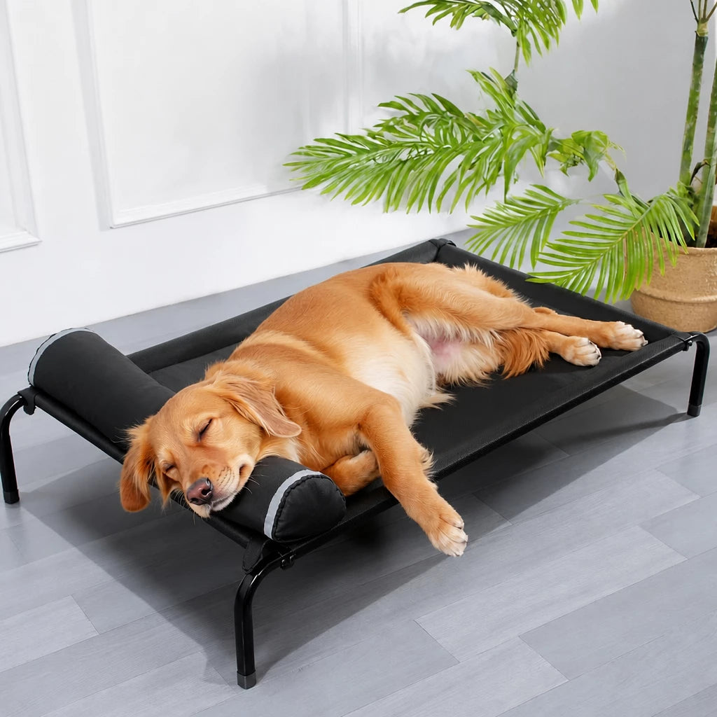 Elevated Dog Cot Bed with Removable Cover